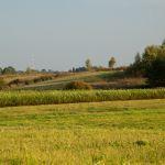 Pejzaż terenu Gminy Lubaczów, widok na okolice Krowicy Lasowej, przysiółek Boble, Fot. T. Poźniak, 2011 r.
