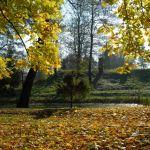 Lubaczów, wzgórze zamkowe. Zespół Zamkowo-Parkowy przy Muzeum Kresów w Lubaczowie. Fot. J. Mazur, 2011r.