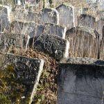 Lubaczów, kamienne macewy na cmentarzu żydowskim. Fot. J. Mazur, 2002 r.