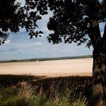 Okolice Horyńca-Zdroju. Fot. T. Poźniak, 2011 r.