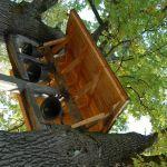 Łukawiec, dzwonnica między dębami przy kościele pw. Objawienia Pańskiego. Fot. J. Mazur, 2011 r.