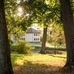 Krowica Sama, dawny park podworski. Fot. T. Poźniak, 2011 r.