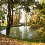 Krowica Sama, dawny park podworski. Fot. T. Poźniak, 2011 r.