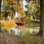 Krowica Sama, dawny park podworski. Fot. T. Poźniak, 2011 r.