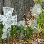 Gorajec, krzyże nagrobne na cmentarzu przycerkiewnym (XVIII-XIX w.). Fot. T. Poźniak, 2011r.