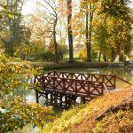 Krowica Sama, dawny park podworski. Fot. T. Poźniak, 2011 r.